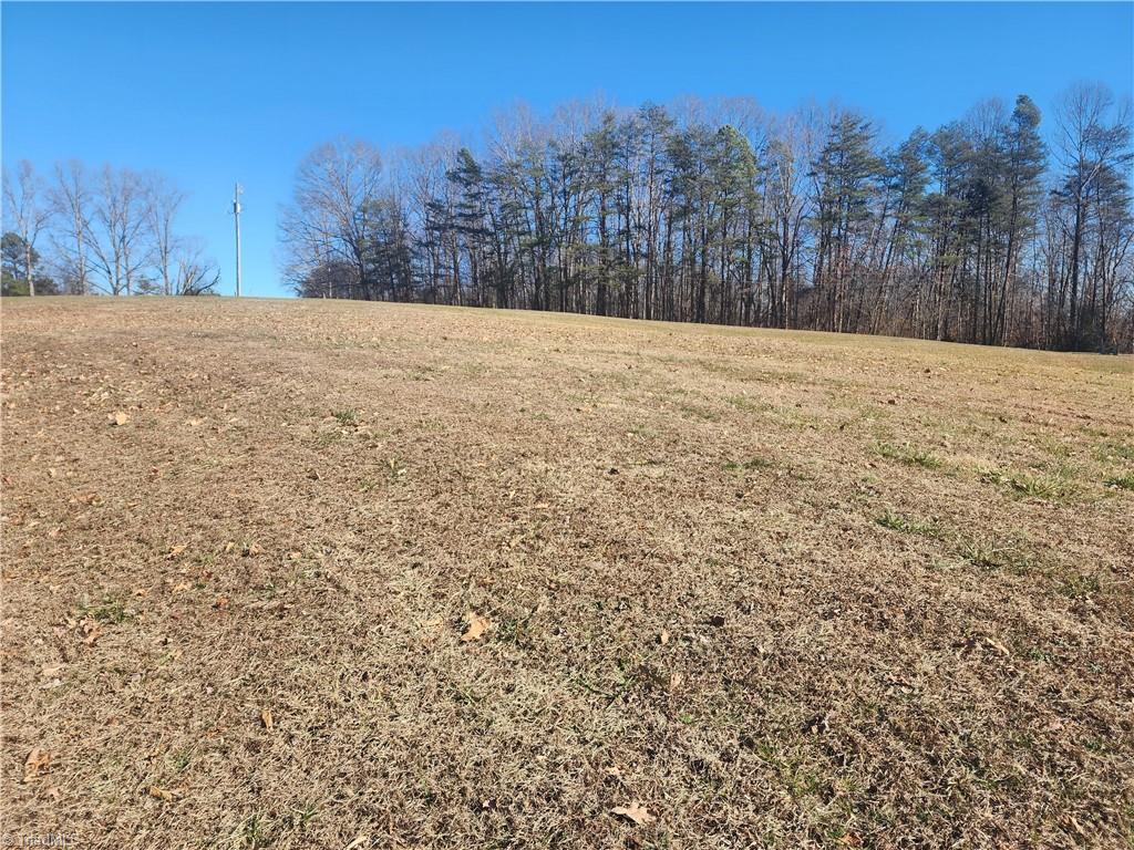 1565 Old Rockford Road Dobson, NC 27017 - Photo 44 of 48 more pasture