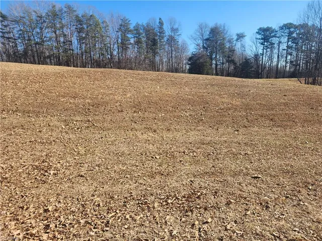 $700,000 | 1565 Old Rockford Road, Dobson, NC 27017