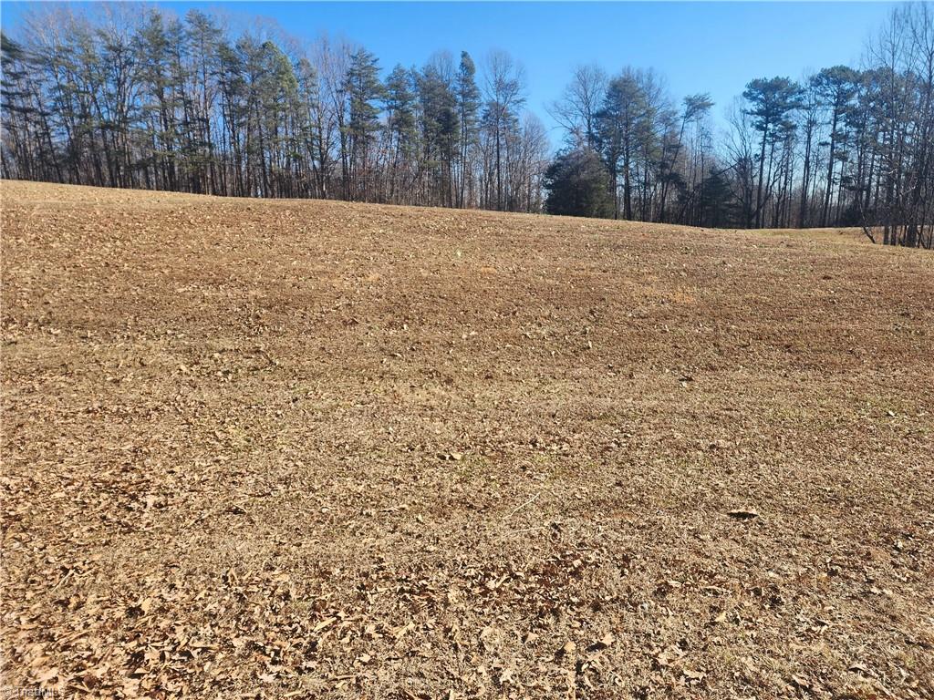 1565 Old Rockford Road Dobson, NC 27017 - Photo 48 of 50 and more pasture!