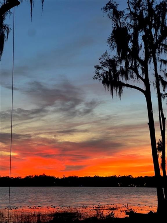 17924 Simms Road Odessa, FL 33556 - Photo 8 of 24