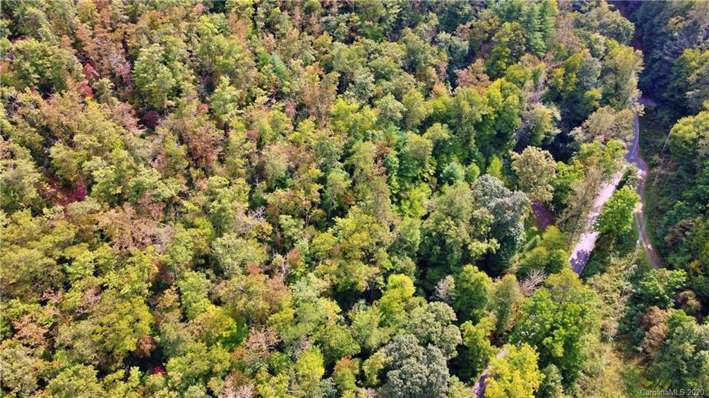 127 Claude Cook Road Sylva, NC 28779 - Photo 5 of 23 Gallery Image 5