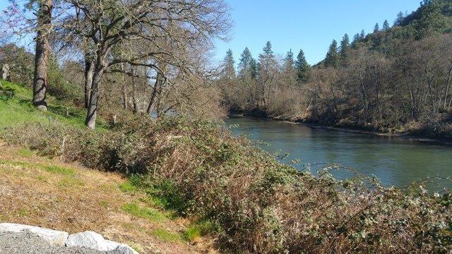 160 Rivers Edge Drive Gold Hill, OR 97525 - Photo 14 of 35 Additional Photo