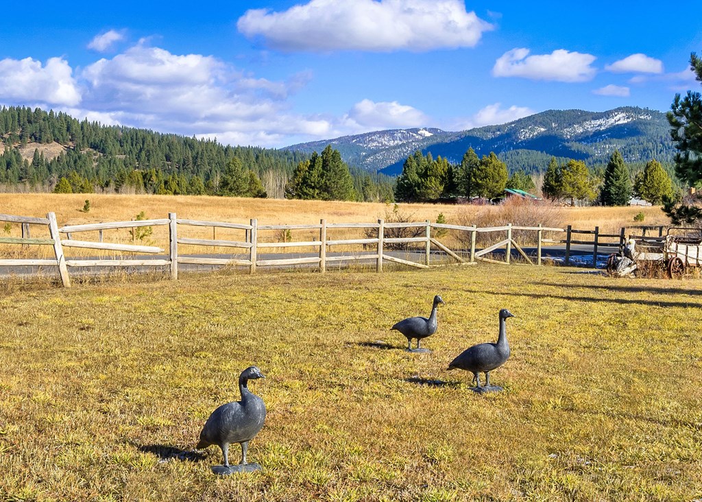 191 Clear Creek Road Cascade, ID 83611 - Photo 114 of 130