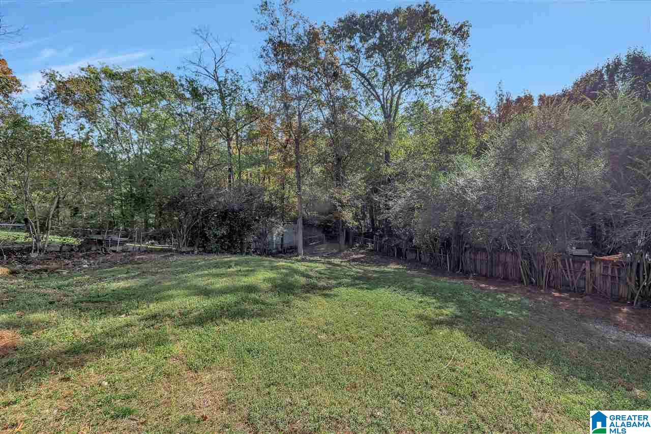 6635 Womack Road Pinson, AL 35126 - Photo 17 of 18