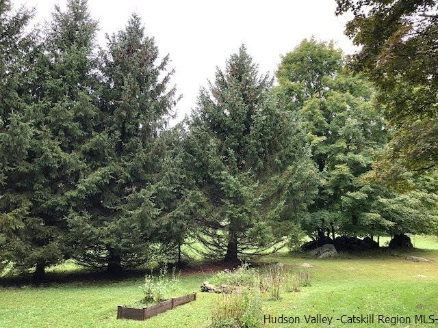 53 Haver Road Olivebridge, NY 12461 - Photo 26 of 26 Photo 30