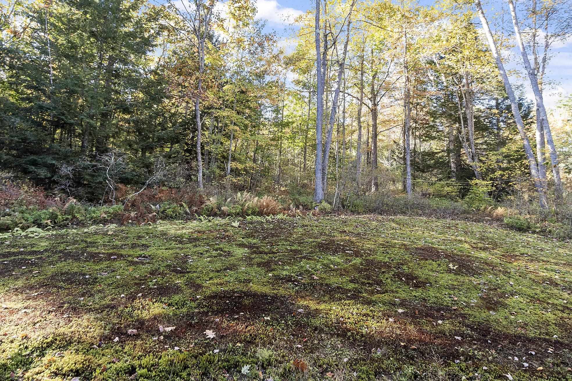 106 Zephyr Lake Road Greenfield, NH 03047 - Photo 54 of 59 Gallery Image 54