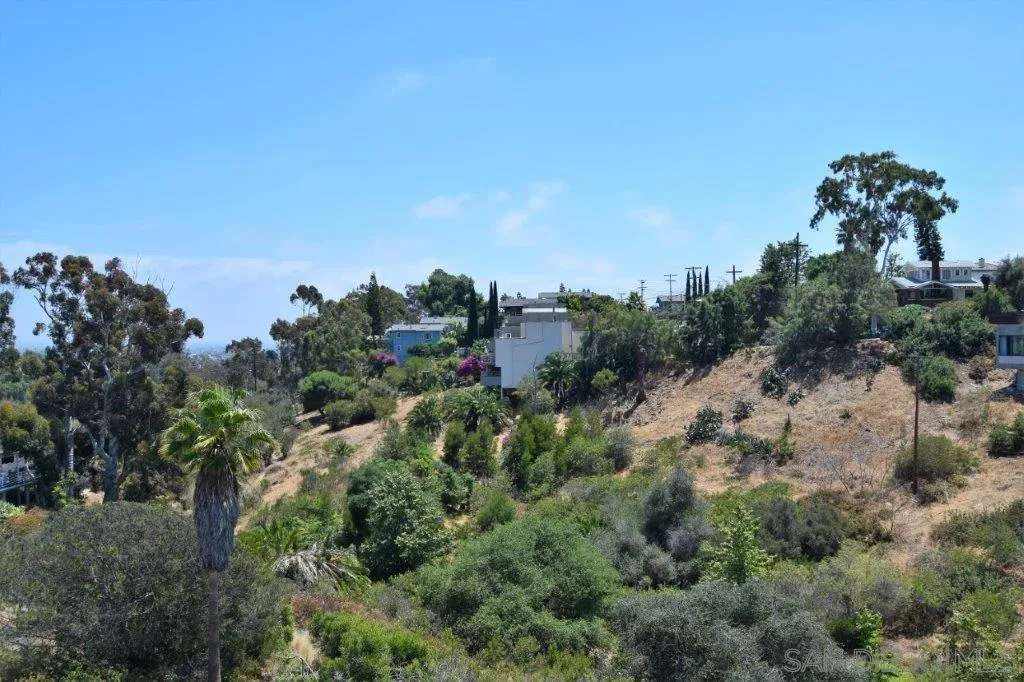 3159-3161 Cedar Street San Diego, CA 92102 - Photo 37 of 39 a view of a bunch of trees in a field