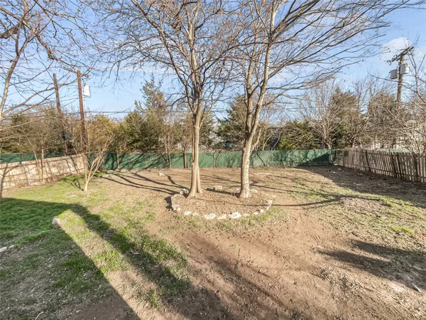 a view of a yard with plants and trees