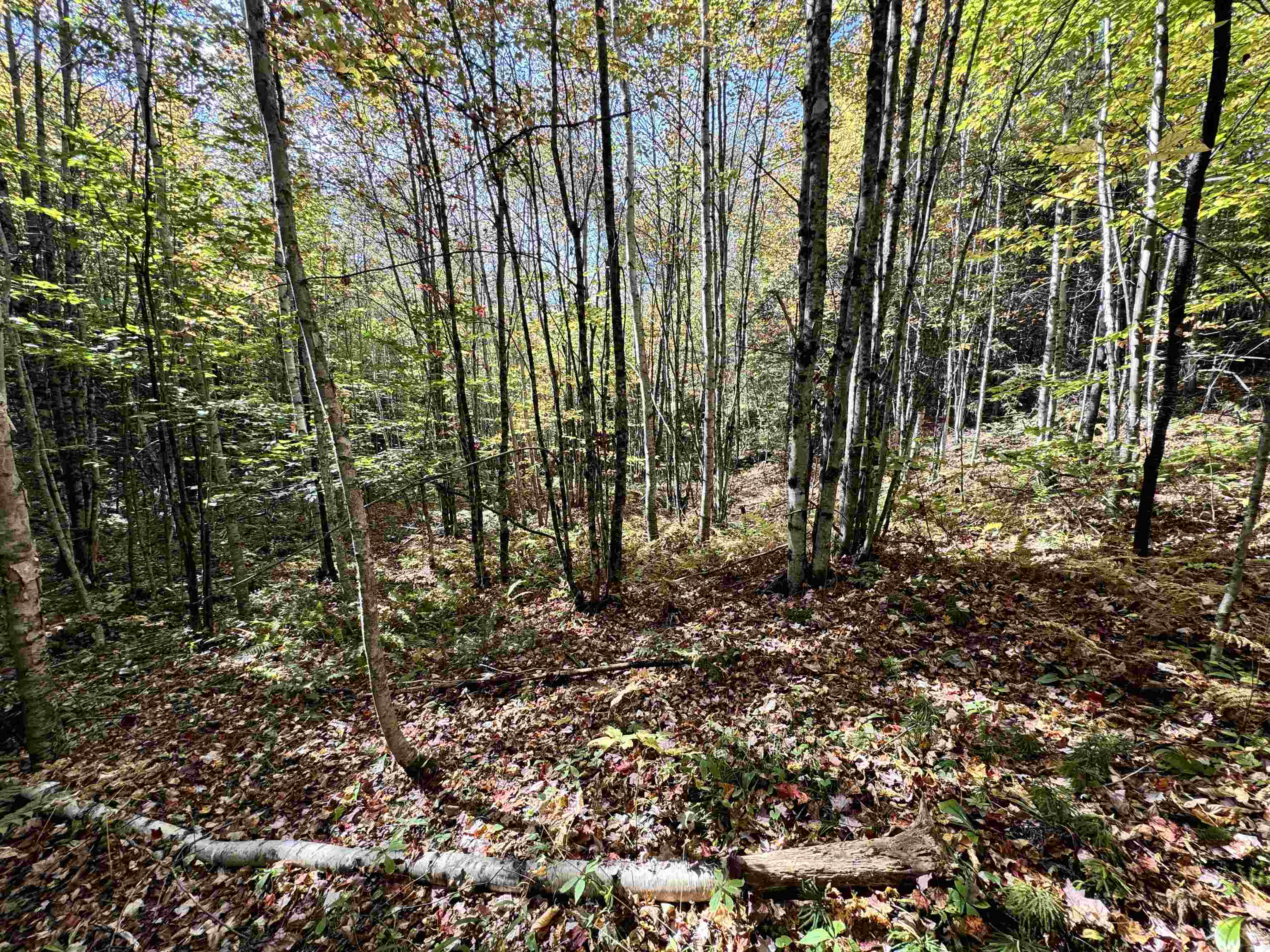 0 Hall Road Dalton, NH 03598 - Photo 11 of 25
