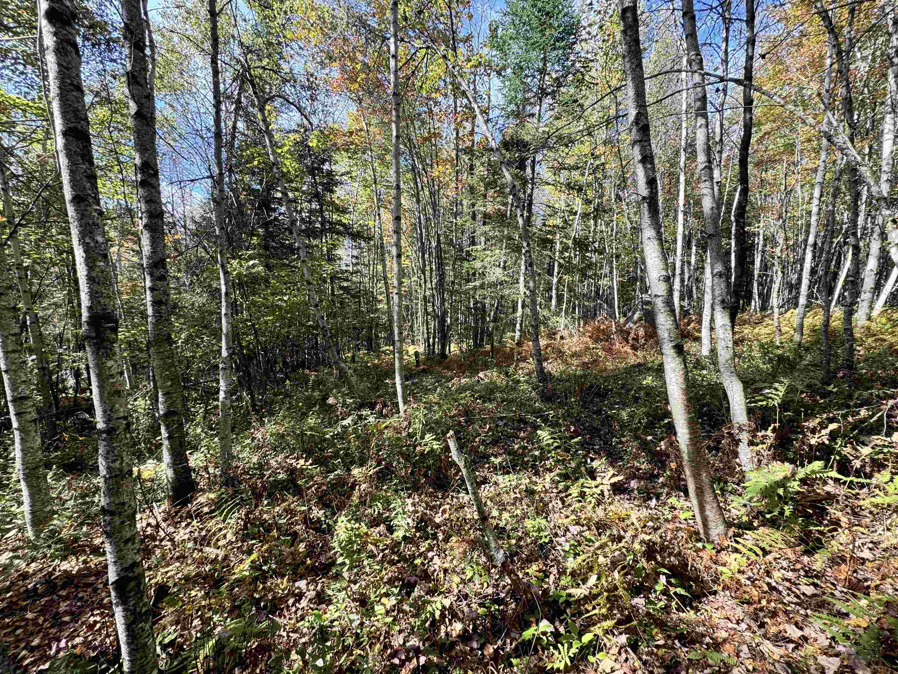 0 Hall Road Dalton, NH 03598 - Photo 12 of 25