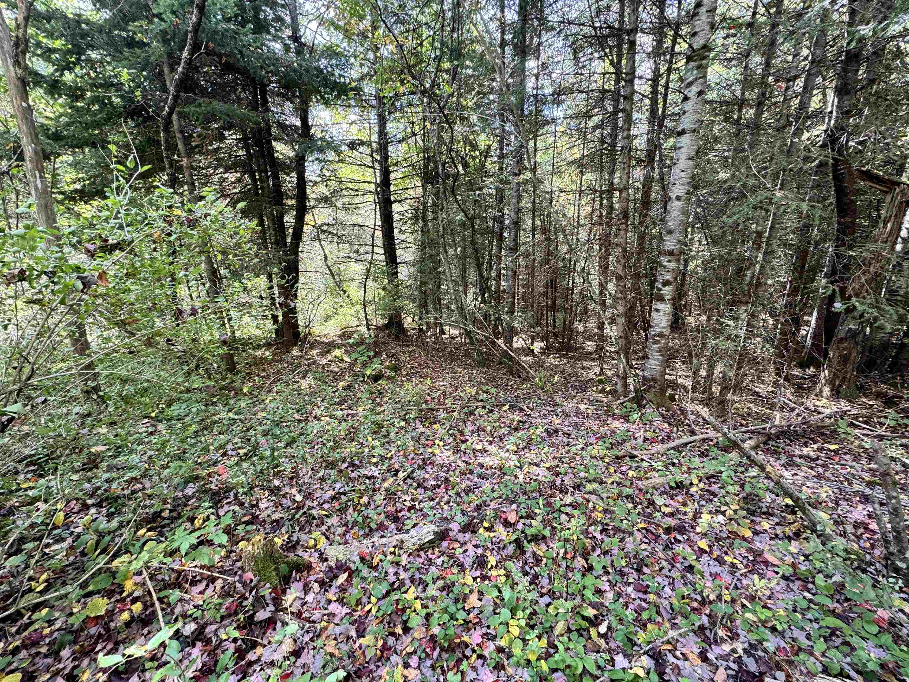 0 Hall Road Dalton, NH 03598 - Photo 3 of 25