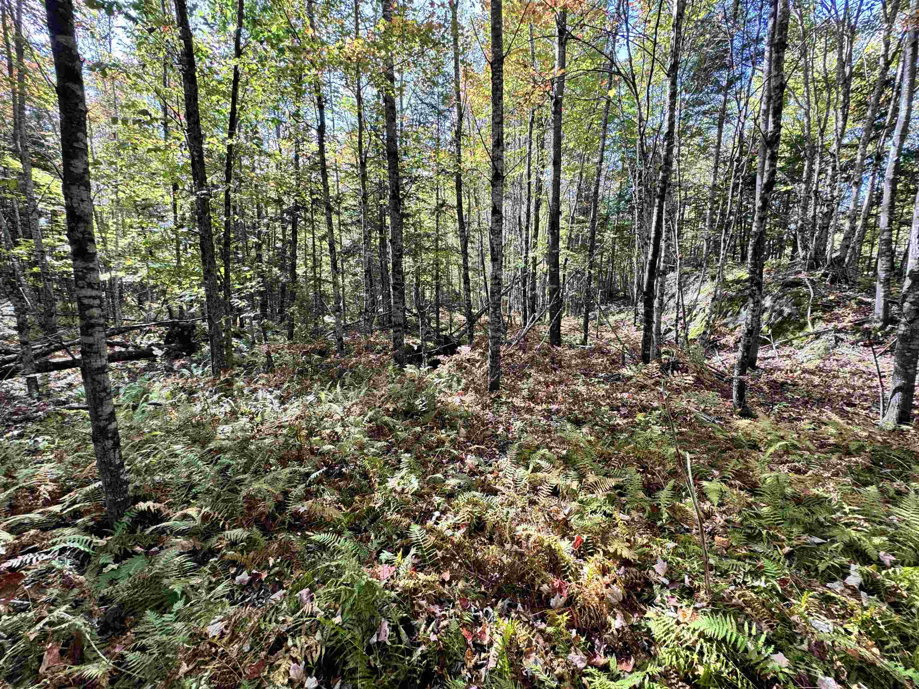 0 Hall Road Dalton, NH 03598 - Photo 7 of 25