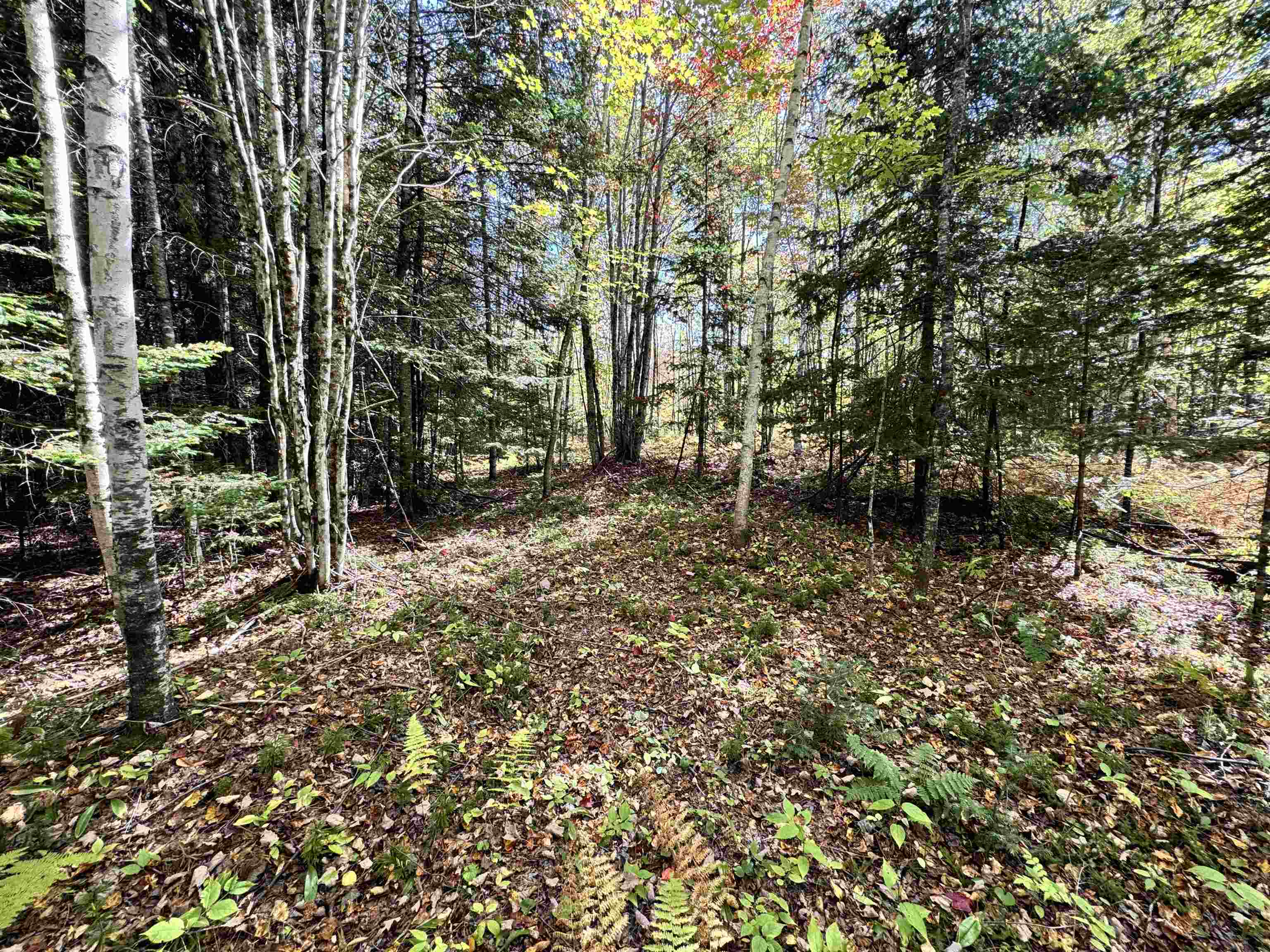 0 Hall Road Dalton, NH 03598 - Photo 8 of 25