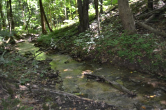 0 Pea Ridge Fire Tower Road Celina, TN 38551 - Photo 2 of 53