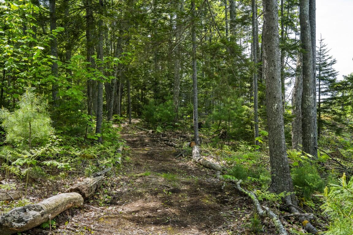 98 Meadow Cove Road Boothbay, ME 04544 - Photo 47 of 54 66