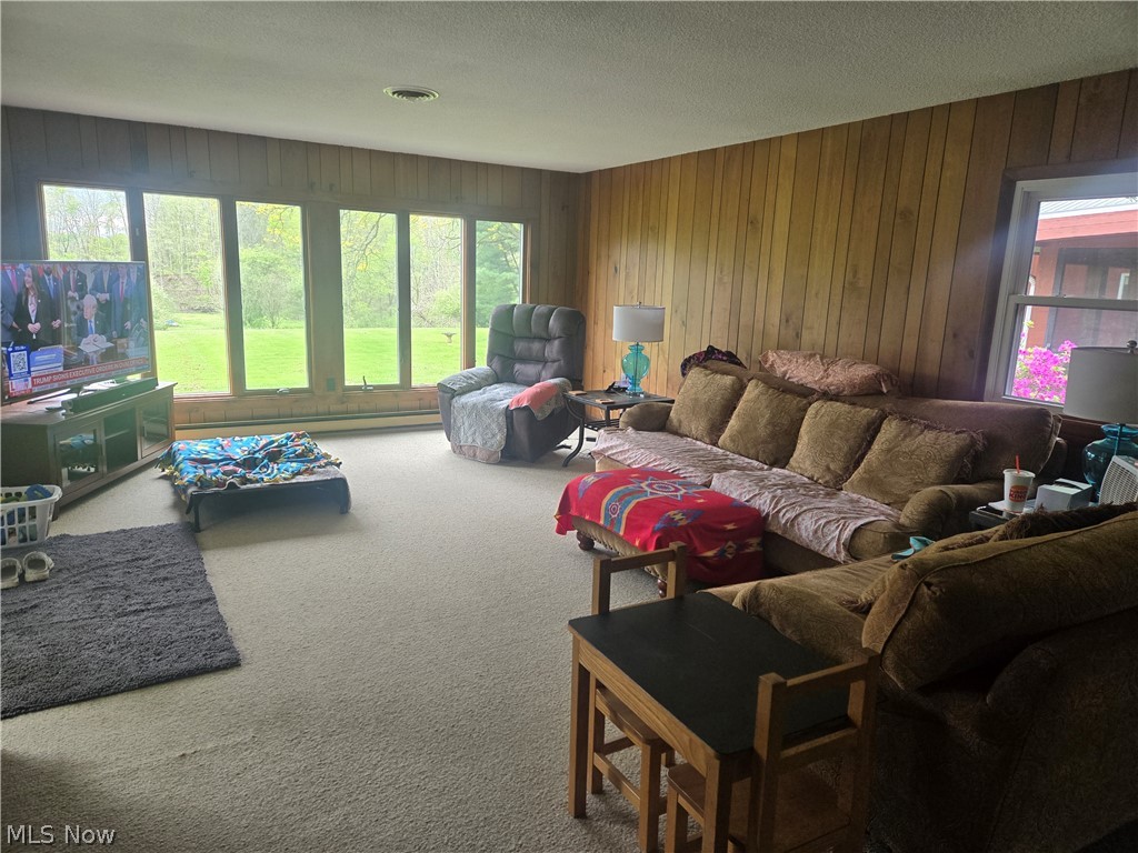 46457 Whitney Road Wellington, OH 44090 - Photo 21 of 36