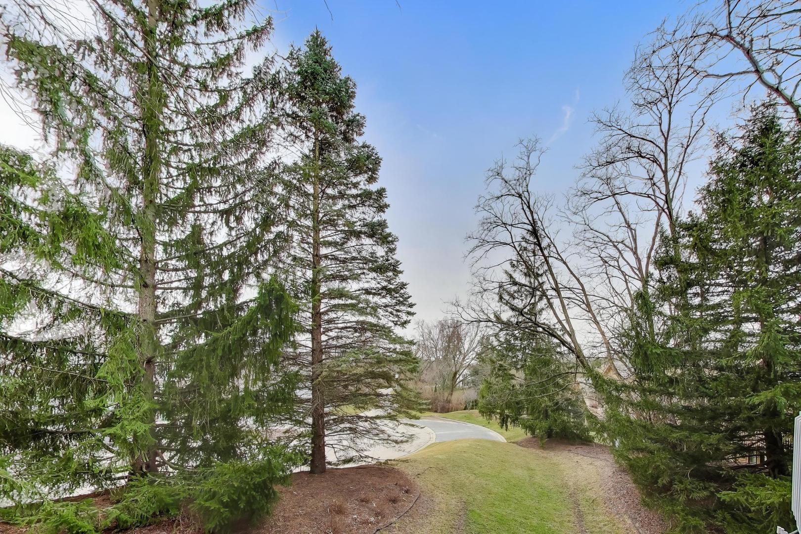 22 Rodeo Drive Burr Ridge, IL 60527 - Photo 40 of 46 a view of a yard with plants and trees