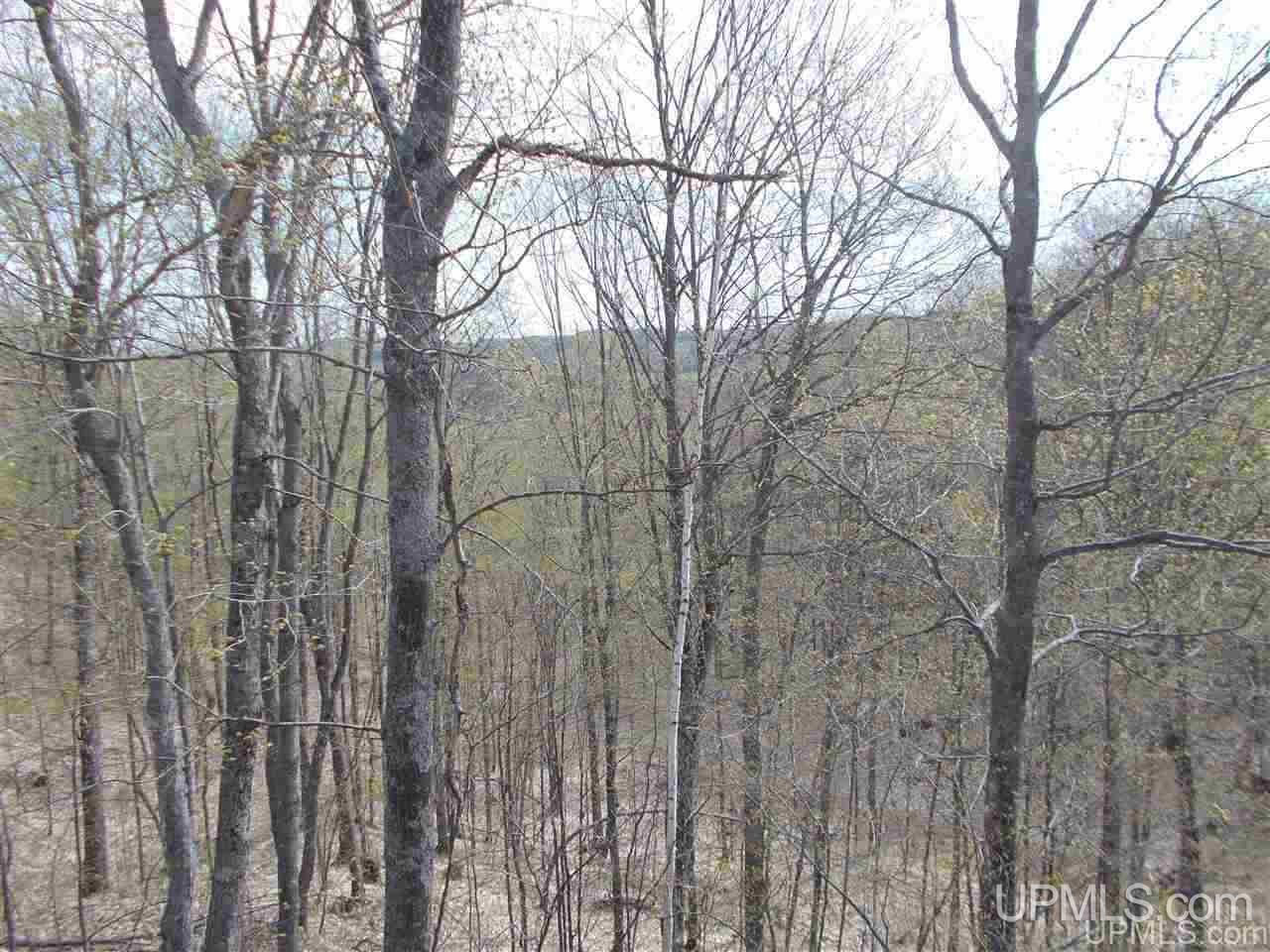 80-acres Triple A Road Ishpeming, MI 49849 - Photo 22 of 28