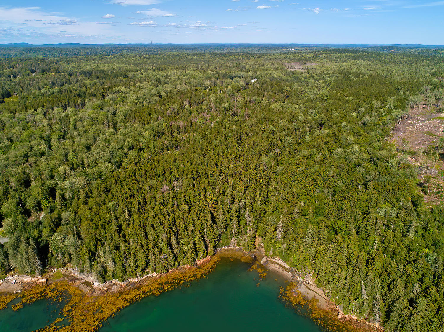 0 Deane Point Road Gouldsboro, ME 04607 - Photo 23 of 26 DPLandView