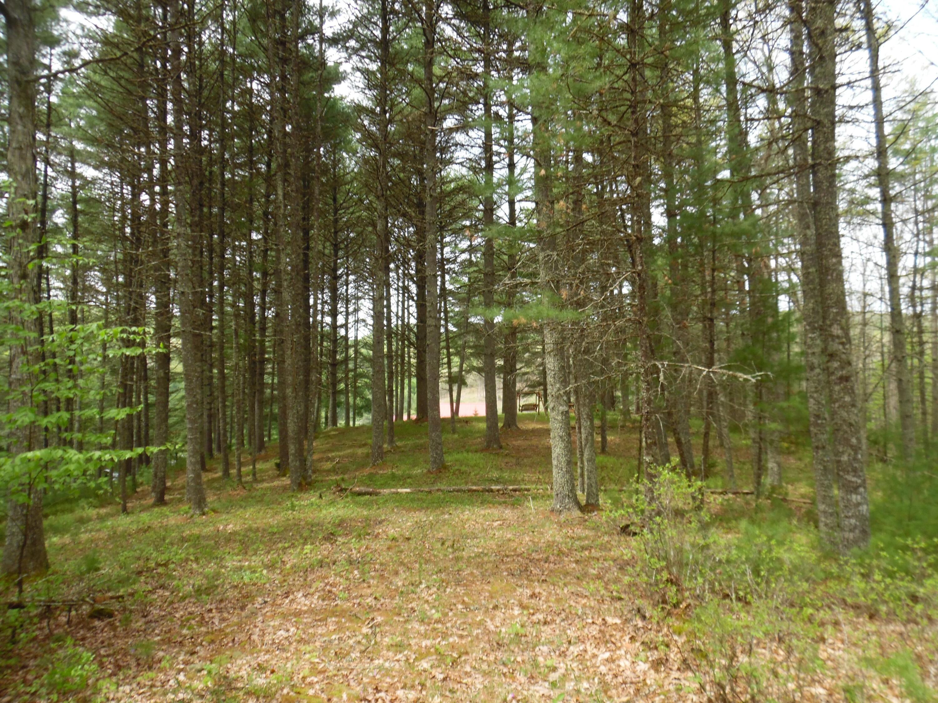 5210 Wesley Chapel Road Green Bank, WV 24944 - Photo 61 of 93 Gallery Image 61