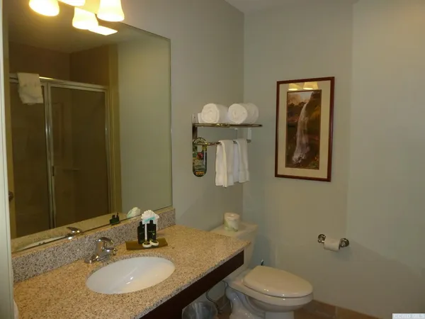 a bathroom with a toilet a sink and mirror