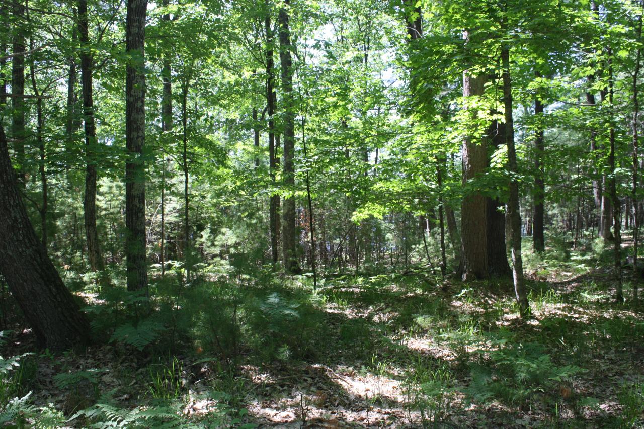 On Interlocken Road, Unit HA25811 Hazelhurst, WI 54531 - Photo 11 of 26 Gallery Image 11