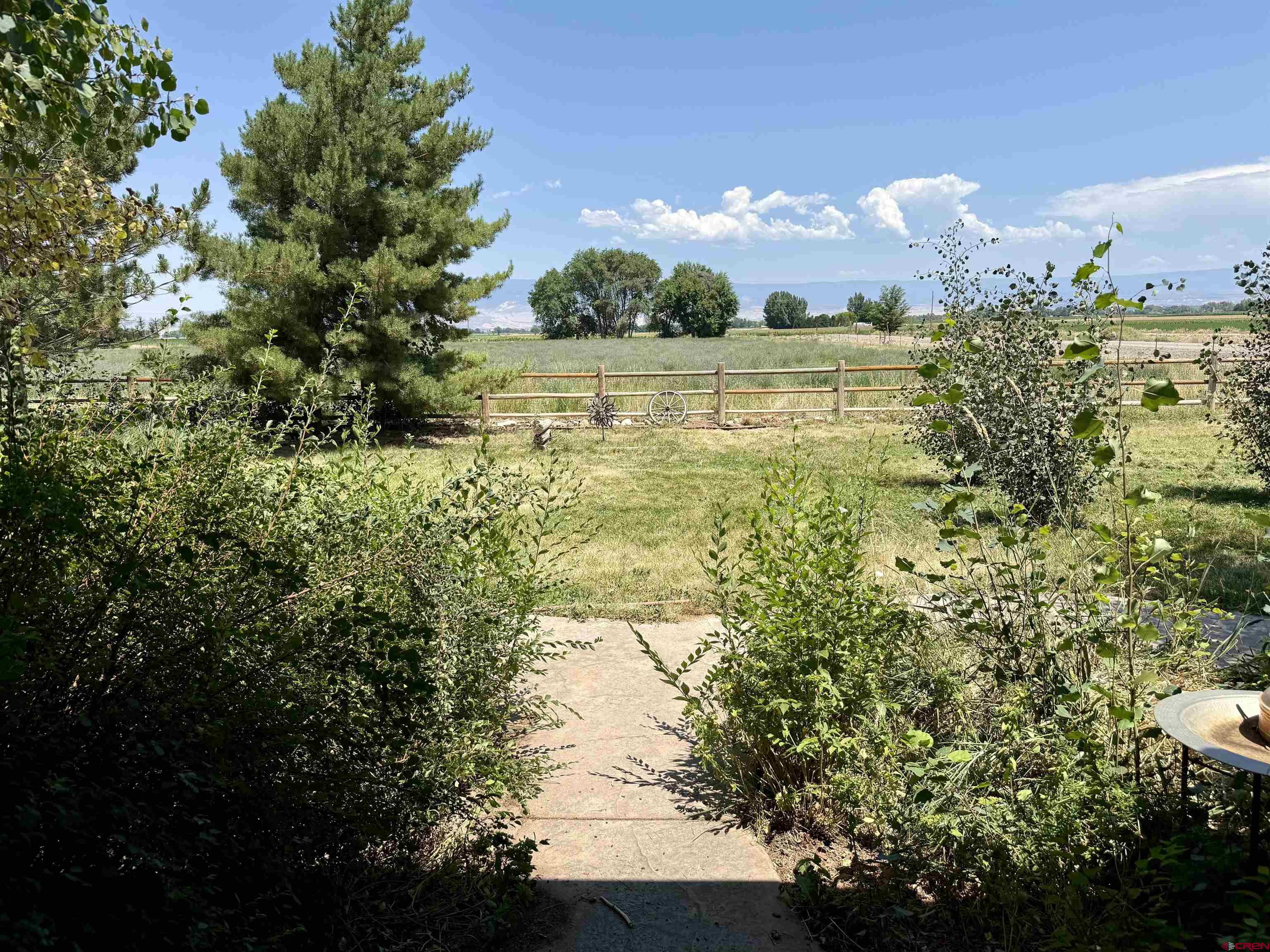 52494 Carnation Road Delta, CO 81416 - Photo 31 of 45