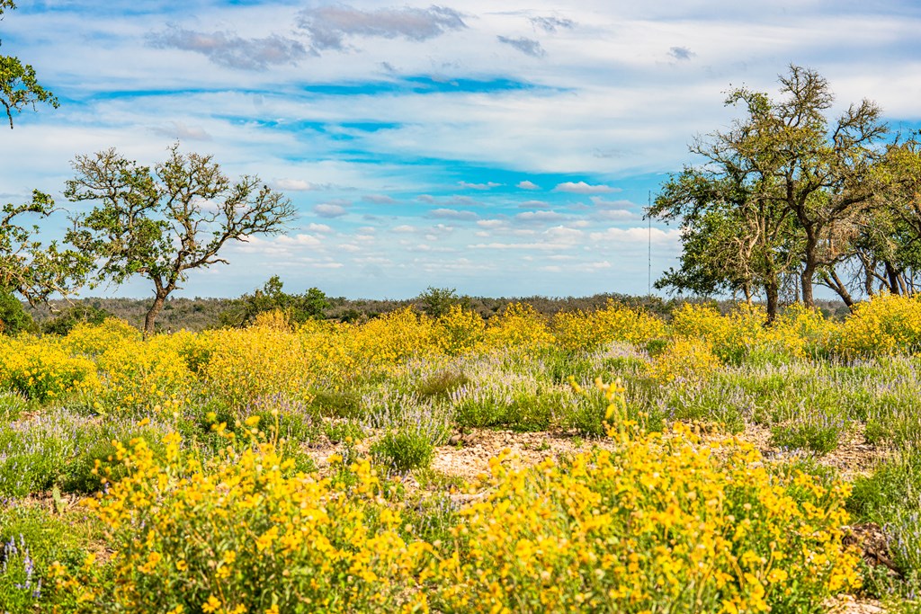Lot 10 Reservation Road, Unit 10 Harper, TX 78631 - Photo 2 of 8 Gallery Image 2