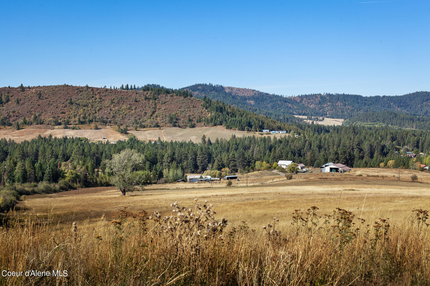 0 Thimbleberry Lane Plummer, ID 83851 - Photo 14 of 16 Landscape