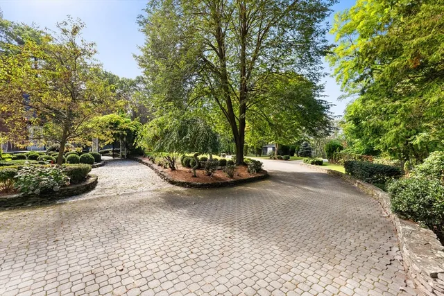 a view of a street with a trees