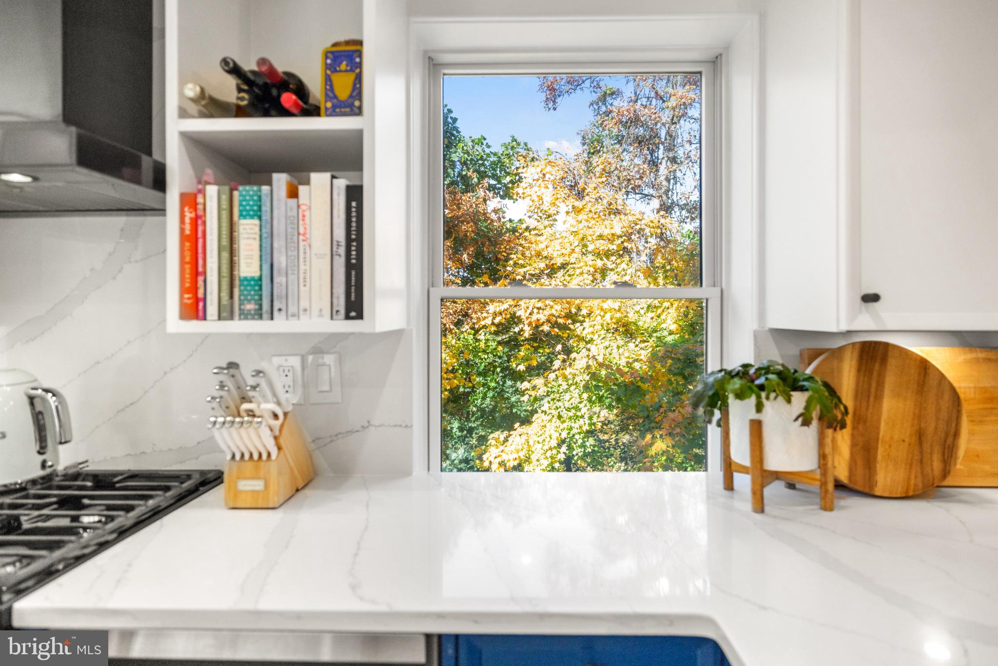 2800 Adams Mill Road Northwest, Unit 2 Washington, DC 20009 - Photo 11 of 45