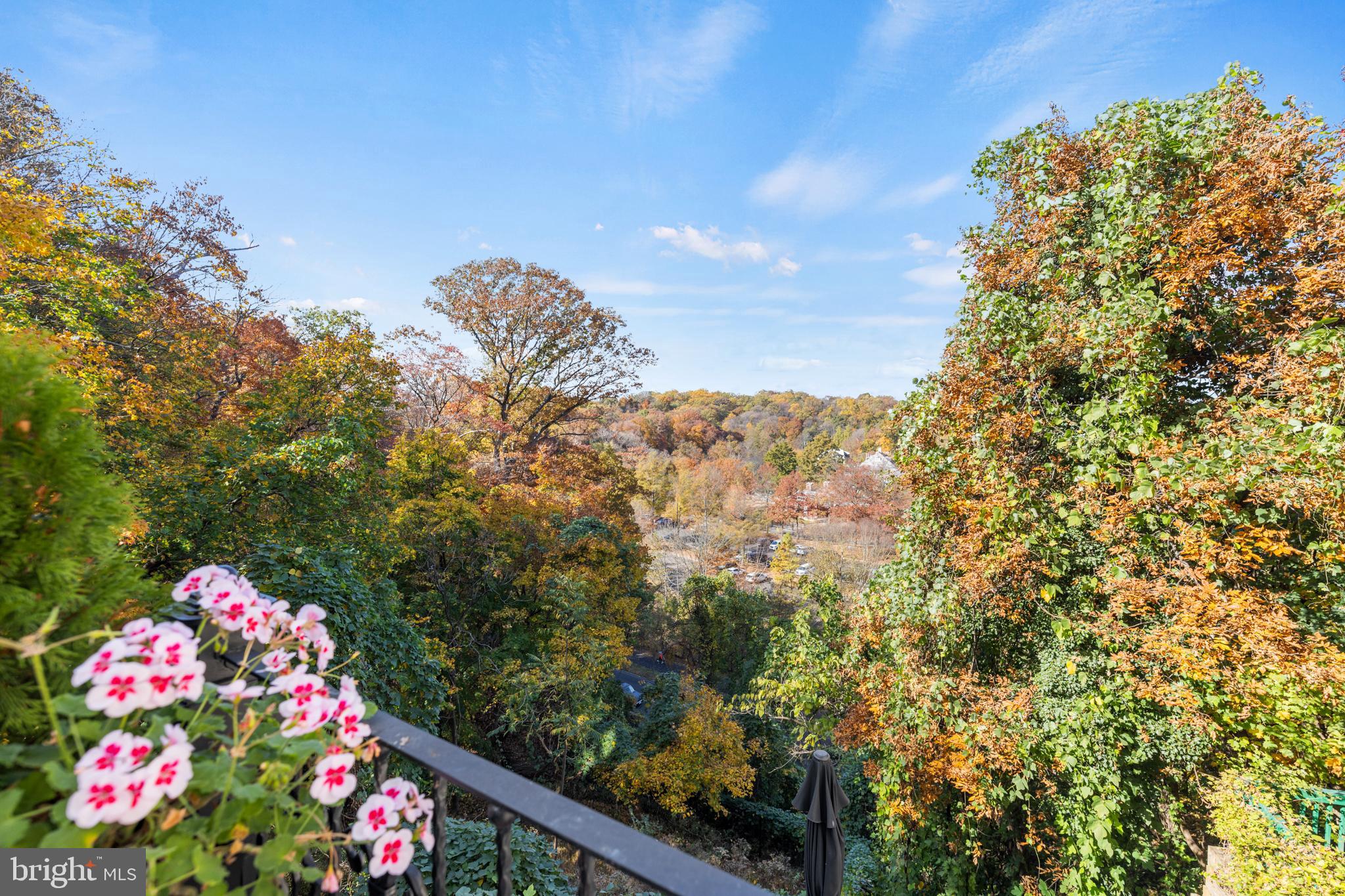 2800 Adams Mill Road Northwest, Unit 2 Washington, DC 20009 - Photo 16 of 45