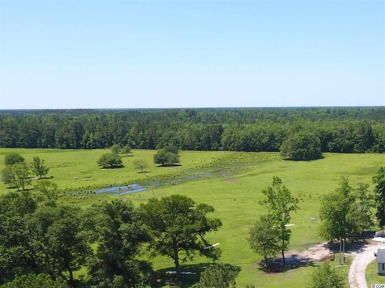 471 Fifty Cents Road Andrews, SC 29510 - Photo 1 of 17