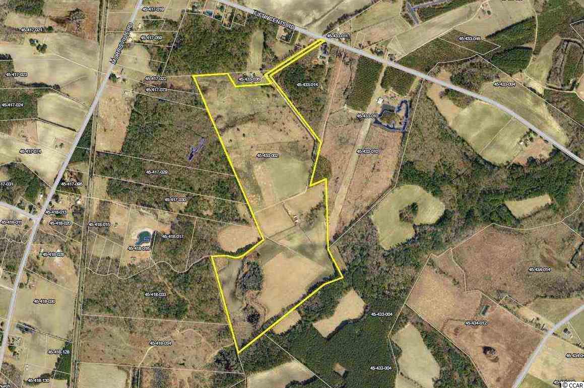 471 Fifty Cents Road Andrews, SC 29510 - Photo 2 of 17