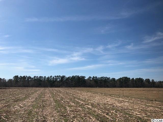 471 Fifty Cents Road Andrews, SC 29510 - Photo 11 of 17