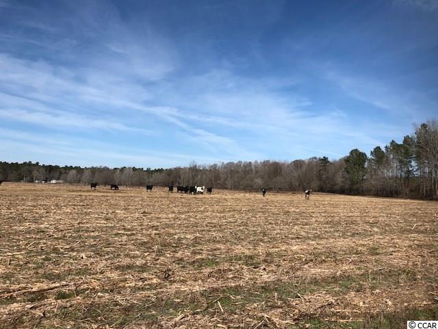 471 Fifty Cents Road Andrews, SC 29510 - Photo 12 of 17