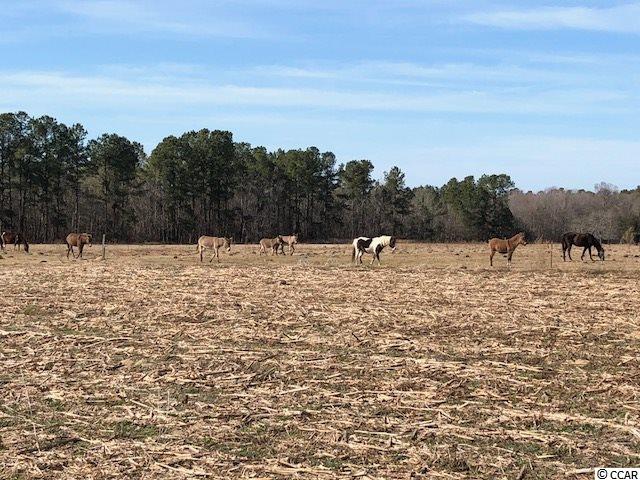 471 Fifty Cents Road Andrews, SC 29510 - Photo 13 of 17