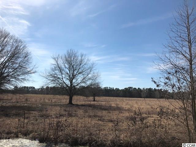 471 Fifty Cents Road Andrews, SC 29510 - Photo 14 of 17