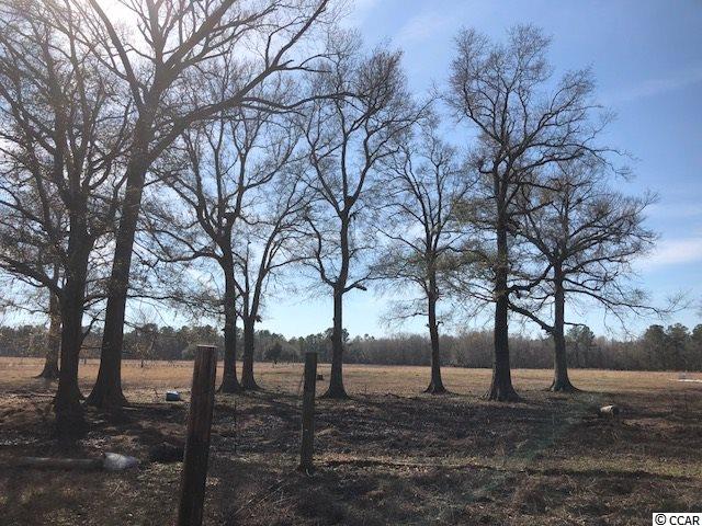 471 Fifty Cents Road Andrews, SC 29510 - Photo 16 of 17