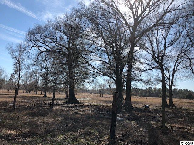 471 Fifty Cents Road Andrews, SC 29510 - Photo 17 of 17
