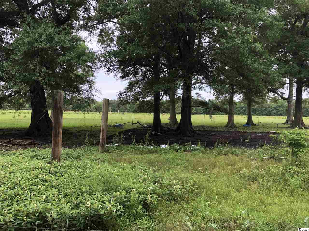 471 Fifty Cents Road Andrews, SC 29510 - Photo 3 of 17
