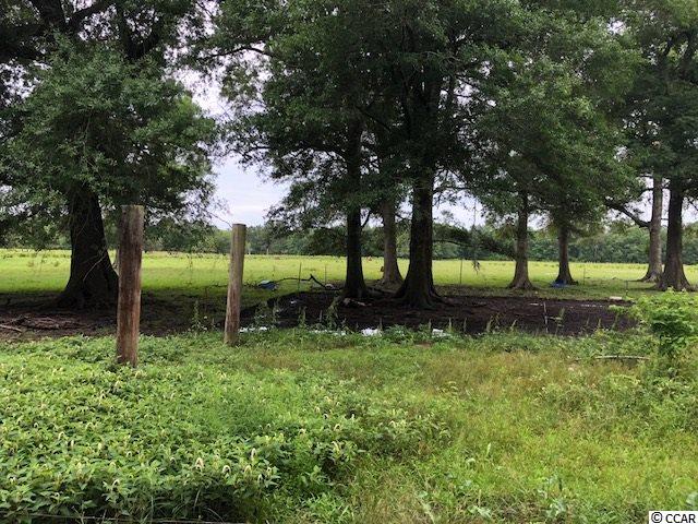 471 Fifty Cents Road Andrews, SC 29510 - Photo 5 of 17