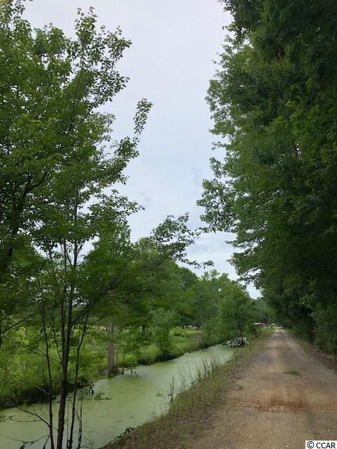 471 Fifty Cents Road Andrews, SC 29510 - Photo 6 of 17