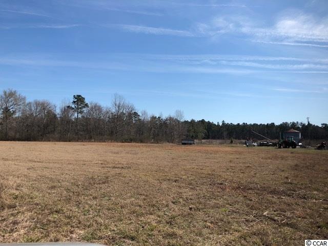 471 Fifty Cents Road Andrews, SC 29510 - Photo 8 of 17