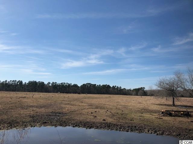 471 Fifty Cents Road Andrews, SC 29510 - Photo 10 of 17