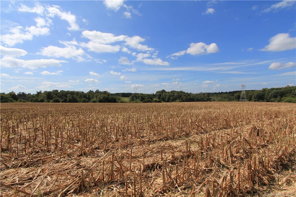 20-ac Graham Road Mount Ulla, NC 28125 - Photo 6 of 10