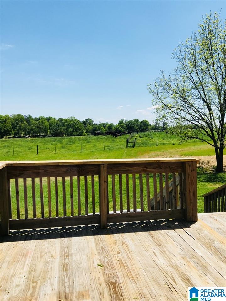 2070 County Road 28 Ranburne, AL 36273 - Photo 39 of 40