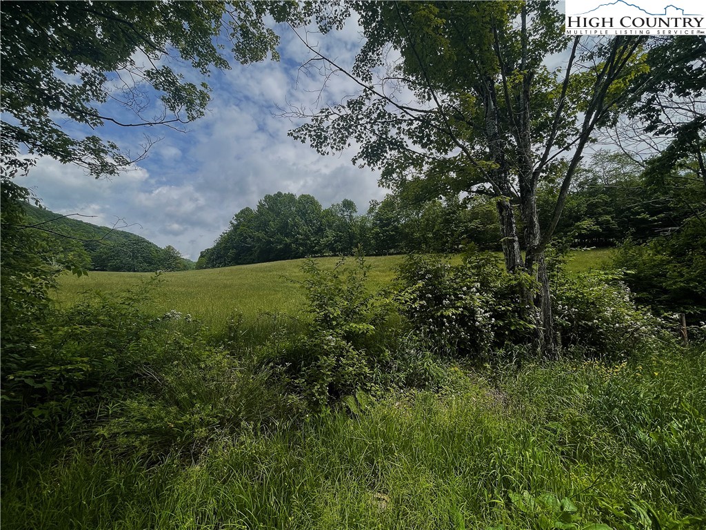 838 Hopewell Church Road Boone, NC 28607 - Photo 38 of 42 Gallery Image 38