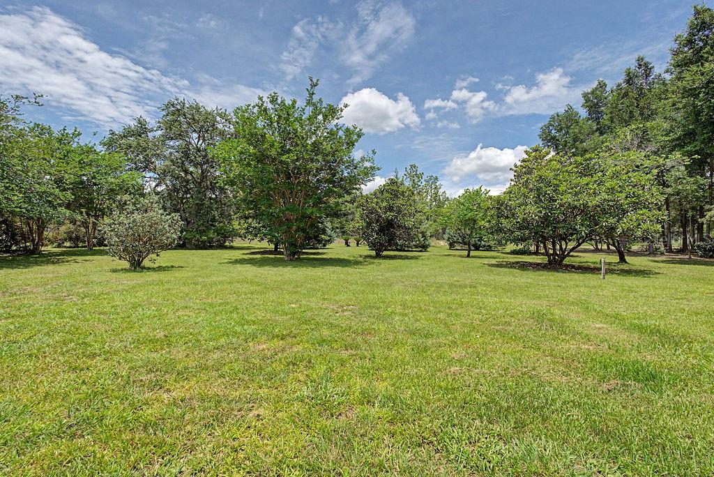 20811 Southwest 81st Loop Dunnellon, FL 34431 - Photo 59 of 89