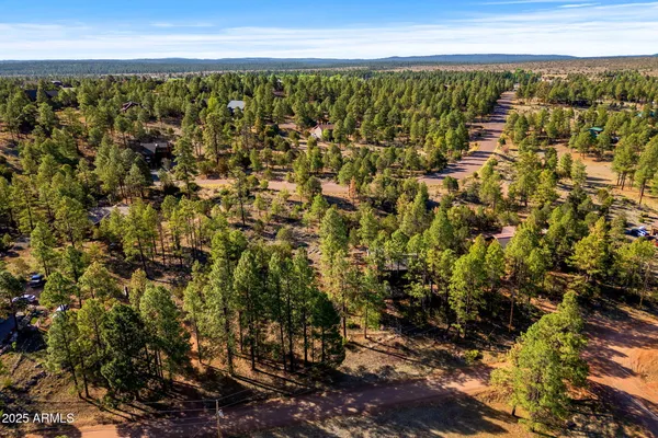 $67,777 | 2794 Sky Hawk Drive, Unit 140, Overgaard, AZ 85933